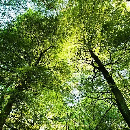 Chevin Country Park & Otley (West Yorkshire)
